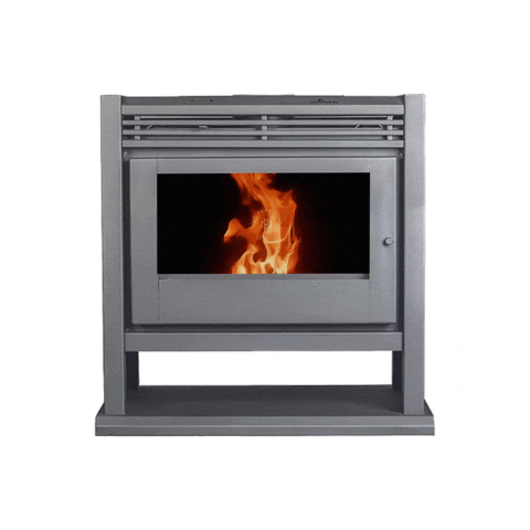 salamandra_tromen_argentina-min1-3042afb457bad5a0b816470333841729-480-0